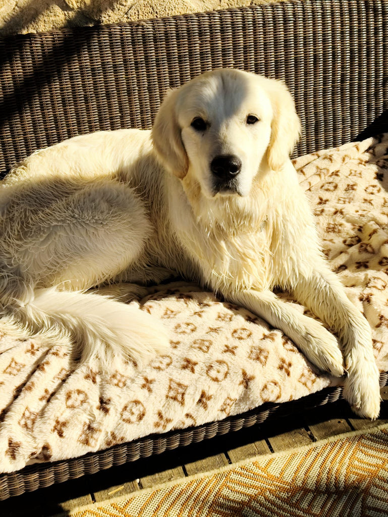 Couverture Doggy Fleur de Lys